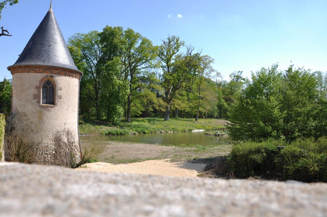 Château Origny Acomodação com café da manhã Neuvy  Exterior foto