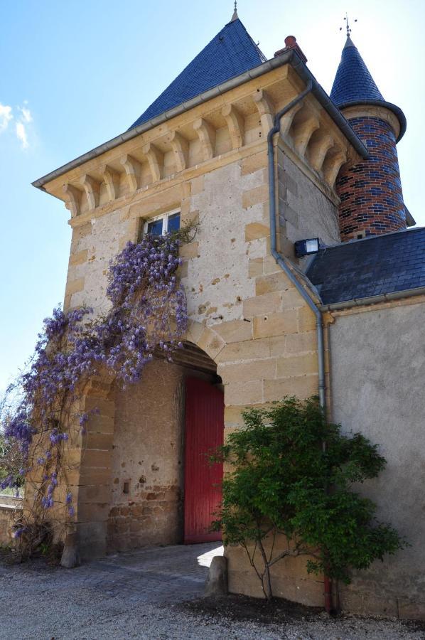 Château Origny Acomodação com café da manhã Neuvy  Exterior foto